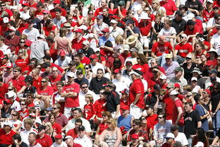 ayx-体育赛事观众满意度影响因素研究，体育赛事关注度